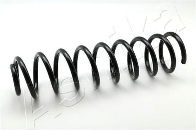 Suspension Spring ASHIKA ZCA3157G