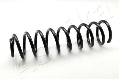 Suspension Spring ASHIKA ZCA3158G