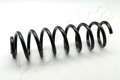 Suspension Spring ASHIKA ZCA3161G