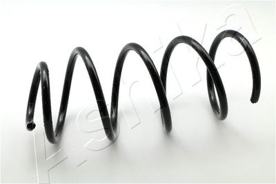 Suspension Spring ASHIKA ZCA3260H