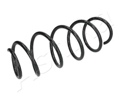 Suspension Spring ASHIKA ZCA3290H