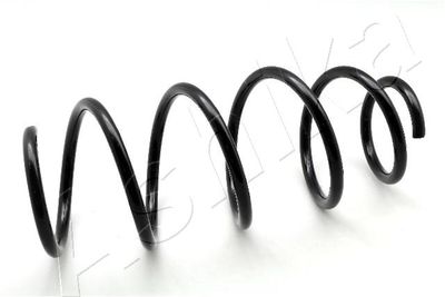Suspension Spring ASHIKA ZCA3300H