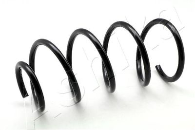 Suspension Spring ASHIKA ZCA3400A