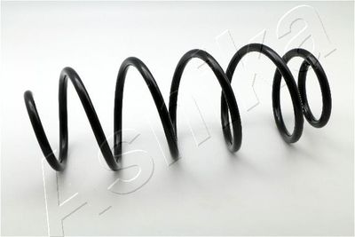 Suspension Spring ASHIKA ZCA3410A