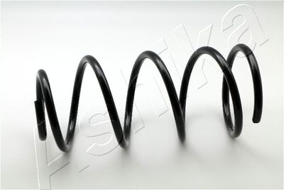 Suspension Spring ASHIKA ZCA3415C