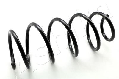 Suspension Spring ASHIKA ZCA3420A