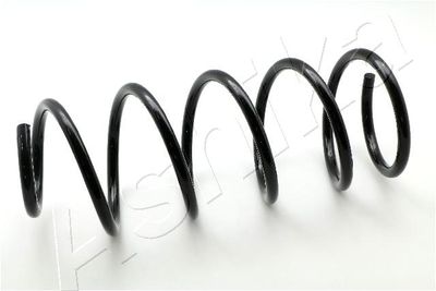 Suspension Spring ASHIKA ZCA3421A