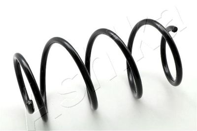 Suspension Spring ASHIKA ZCA3430A
