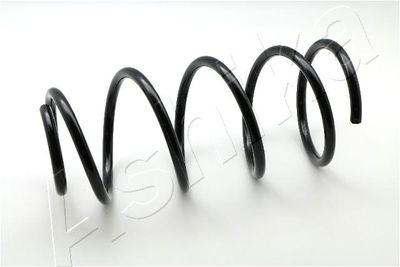 Suspension Spring ASHIKA ZCA3460C