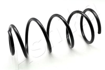 Suspension Spring ASHIKA ZCA3461C