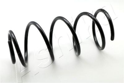 Suspension Spring ASHIKA ZCA3462C