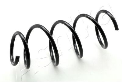 Suspension Spring ASHIKA ZCA3489H
