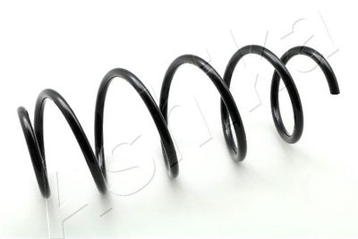 Suspension Spring ASHIKA ZCA3504H