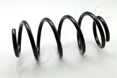 Suspension Spring ASHIKA ZCA3512H