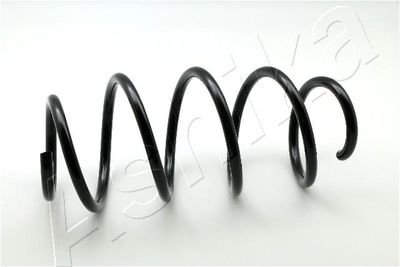 Suspension Spring ASHIKA ZCA3520A