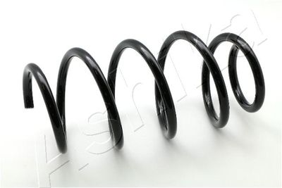 Suspension Spring ASHIKA ZCA3528H