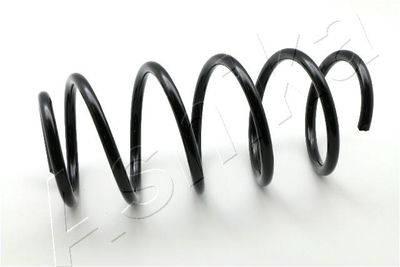 Suspension Spring ASHIKA ZCA3531H