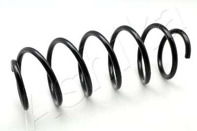 Suspension Spring ASHIKA ZCA3536H