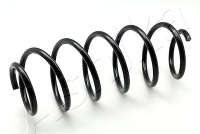 Suspension Spring ASHIKA ZCA3537H