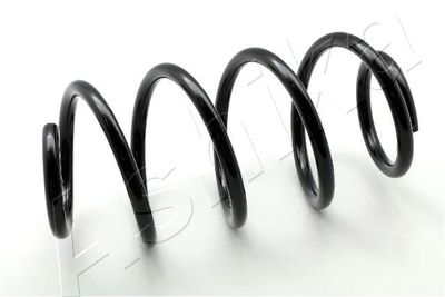 Suspension Spring ASHIKA ZCA3544H