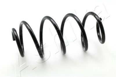 Suspension Spring ASHIKA ZCA3549H