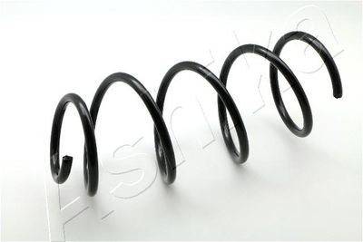 Suspension Spring ASHIKA ZCA3565H