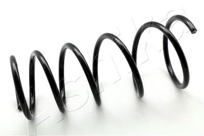 Suspension Spring ASHIKA ZCA3572G