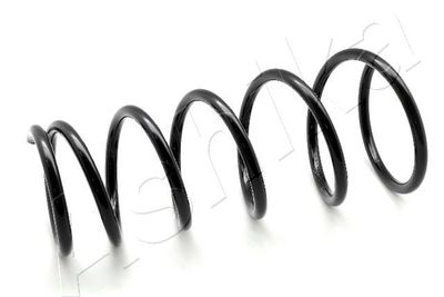 Suspension Spring ASHIKA ZCA3786I