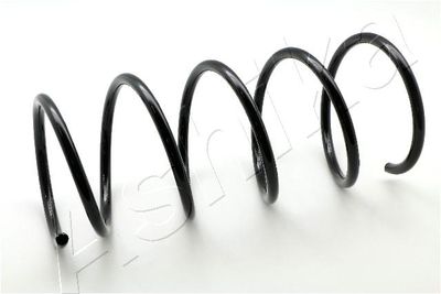 Suspension Spring ASHIKA ZCA3795A