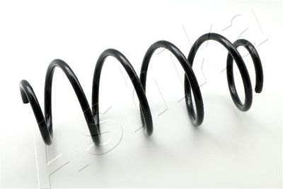 Suspension Spring ASHIKA ZCA3907H