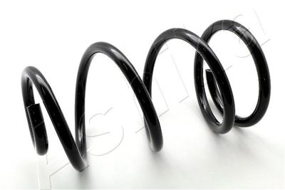 Suspension Spring ASHIKA ZCA3919C