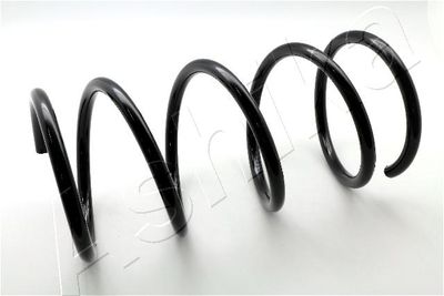Suspension Spring ASHIKA ZCA3924A