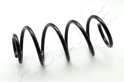 Suspension Spring ASHIKA ZCA3970A