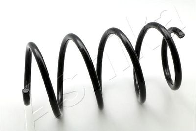 Suspension Spring ASHIKA ZCA3981A
