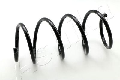 Suspension Spring ASHIKA ZCA3987A