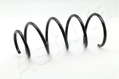 Suspension Spring ASHIKA ZCA4001A