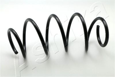 Suspension Spring ASHIKA ZCA4010A