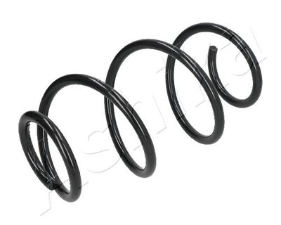 Suspension Spring ASHIKA ZCA4029A