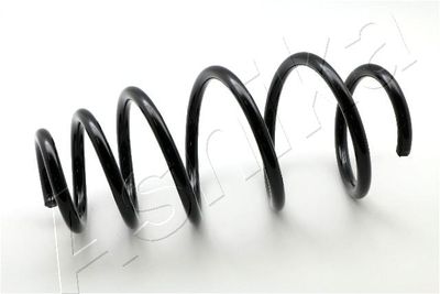 Suspension Spring ASHIKA ZCA4038A