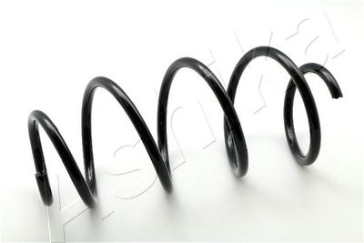 Suspension Spring ASHIKA ZCA4046A