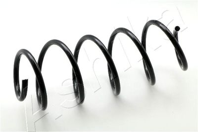 Suspension Spring ASHIKA ZCA4049A