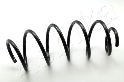 Suspension Spring ASHIKA ZCA4053A