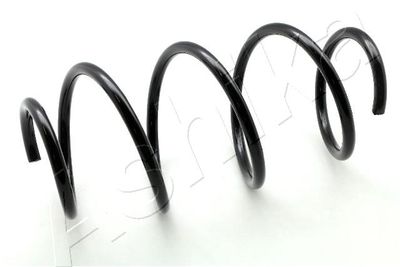 Suspension Spring ASHIKA ZCA4068A
