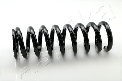 Suspension Spring ASHIKA ZCA4095A