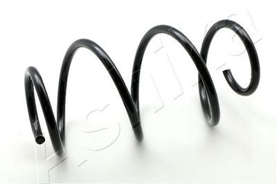 Suspension Spring ASHIKA ZCA4118A