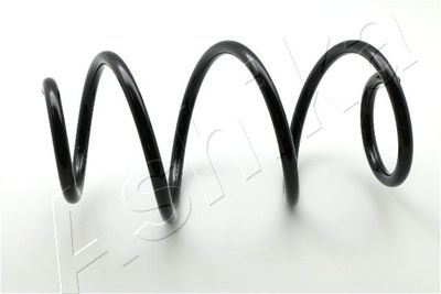 Suspension Spring ASHIKA ZCA4119A