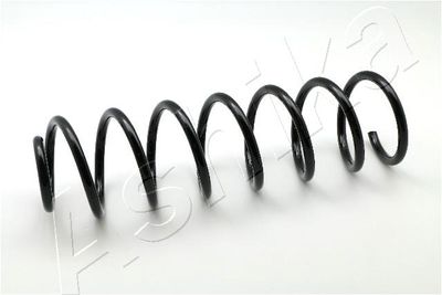 Suspension Spring ASHIKA ZCA5010C