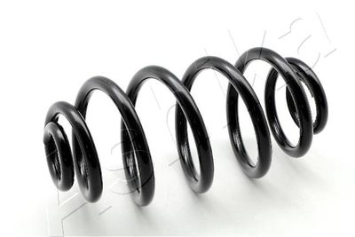 Suspension Spring ASHIKA ZCA5013J