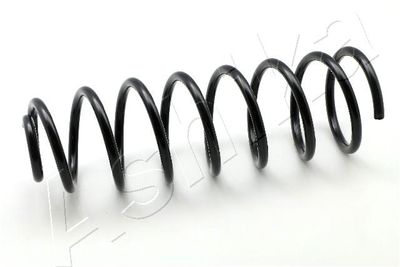Suspension Spring ASHIKA ZCA5073C