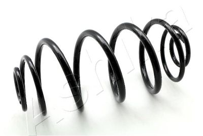 Suspension Spring ASHIKA ZCA5135J